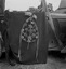 le bouquet d’octobre 1937 vu de dos pour montrer l’armature ; 21 juillet à 11h ; Surzur ; Kerlis ; [photo originale 101]