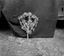 le bouquet fait par Mme Le Quintrec vu de dos pour montrer l’armature ; 21 juillet à 11h ; Surzur ; Kerlis ; [photo originale 103]